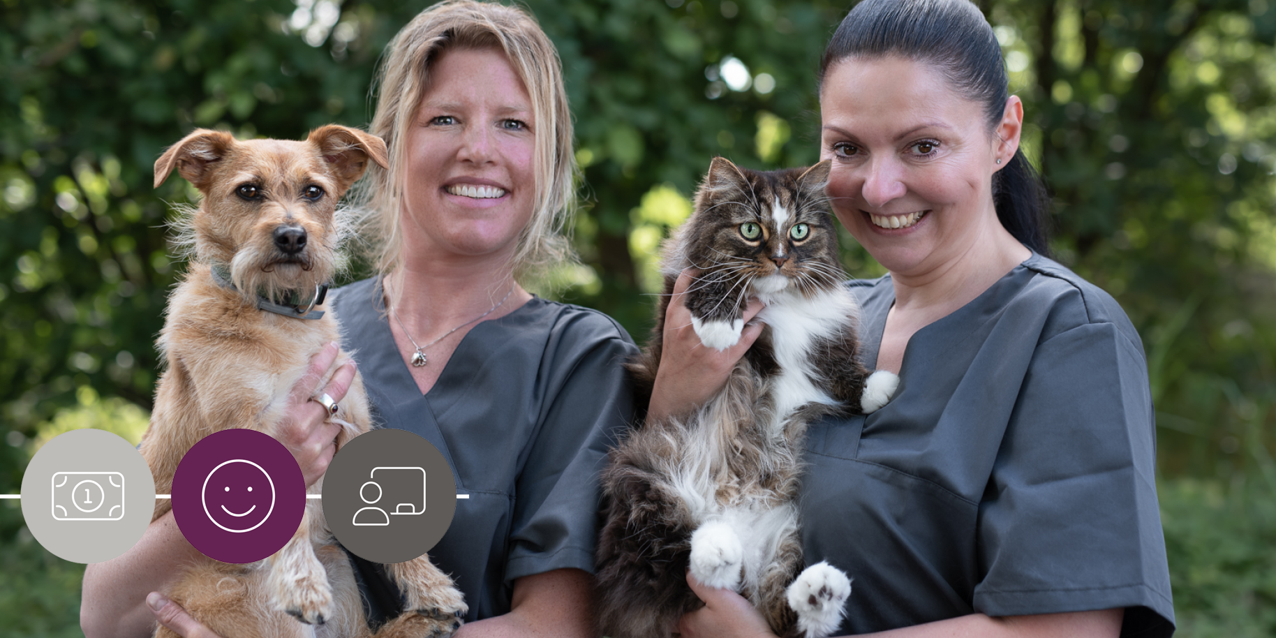 Teaserbild Internistische Kleintierpraxis Hoppe & Stech